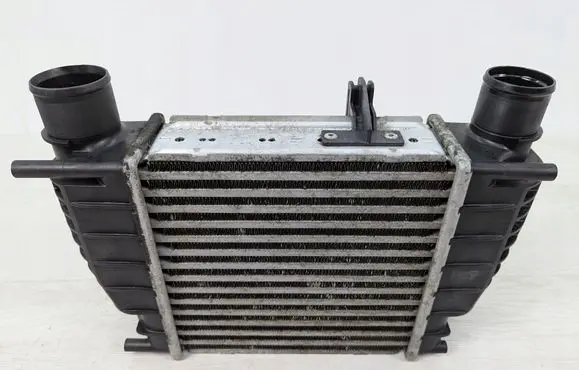Nissan Juke I F15 Intercooler radiator 14461EM00A