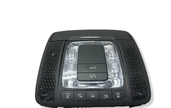 Mercedes-Benz B W247 Front seat light A0009001919