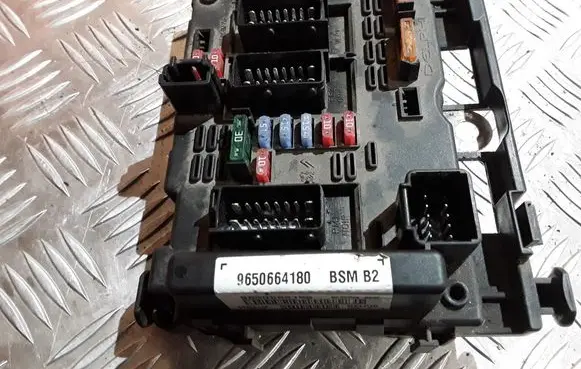 Peugeot 206 Fuse module 9650664180 BSMB2