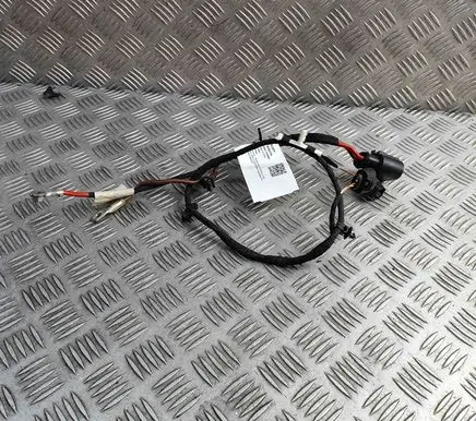 Skoda Enyaq iV Other wiring loom 1EB971111D