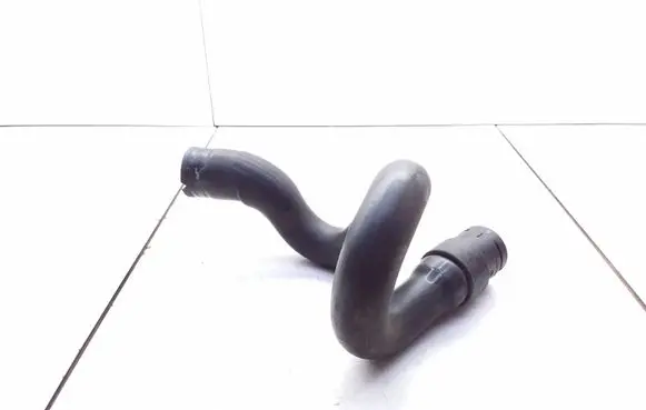 Mercedes-Benz A W169 Engine coolant pipe/hose A1698301596