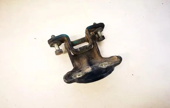 Volvo S40, V40 Rear door lower hinge