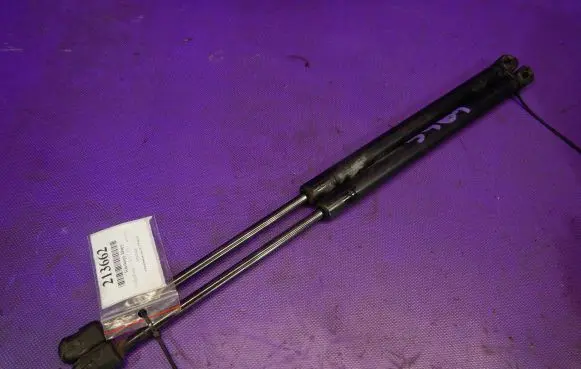 Tailgate strut