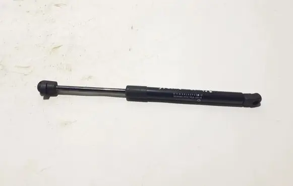 Tailgate strut