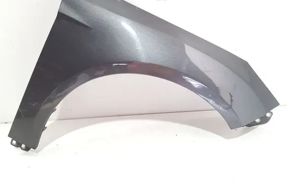 Ford Focus Fender
