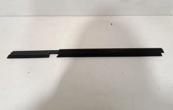 Rear door glass trim molding