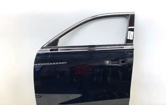 MG HS Front door 