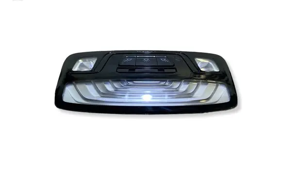 BMW X3 G01 Front seat light 43684861603 20649117 4368486160