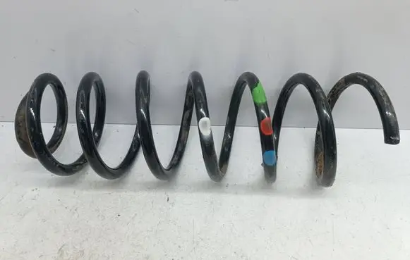 Rear coil spring