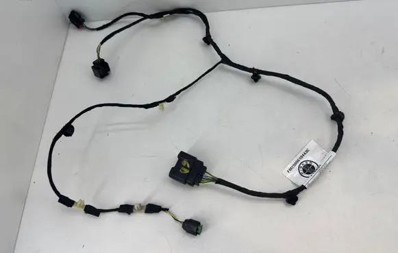 Fisker Ocean Rear door wiring loom FM2980610443C
