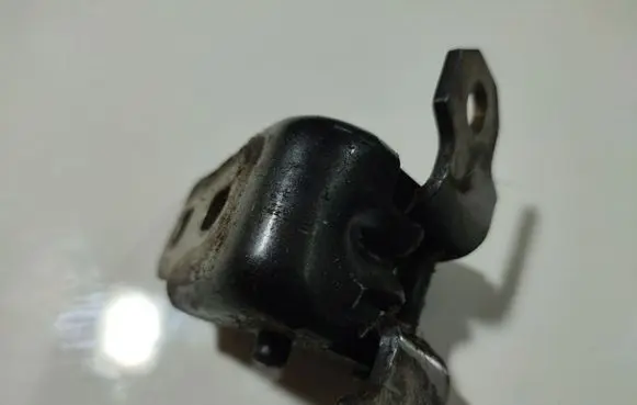 Rear door lower hinge