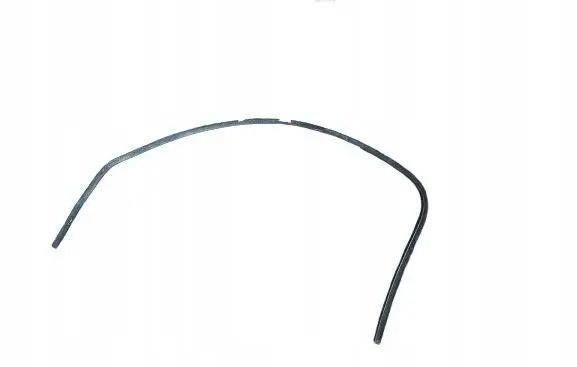 Fiat Bravo Rubber seal front coupe door 51751851