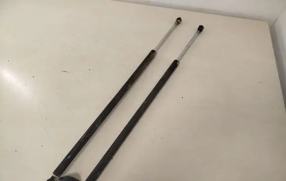 Tailgate/trunk strut/damper