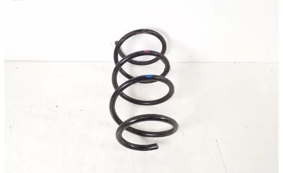 Front coil spring