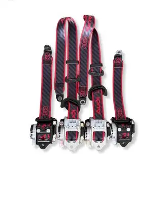 Audi RS6 C8 Set of seat belts 