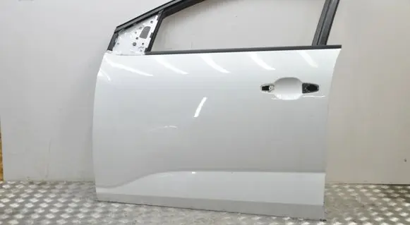 Dacia Sandero III Front door 801136242R