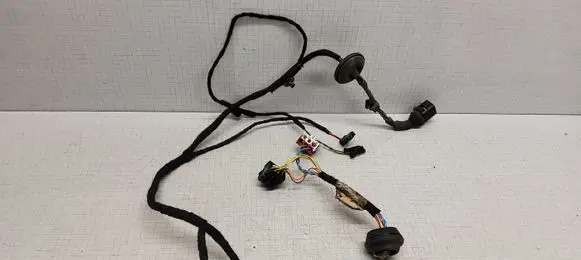 Volkswagen PASSAT B5.5 Rear door wiring loom