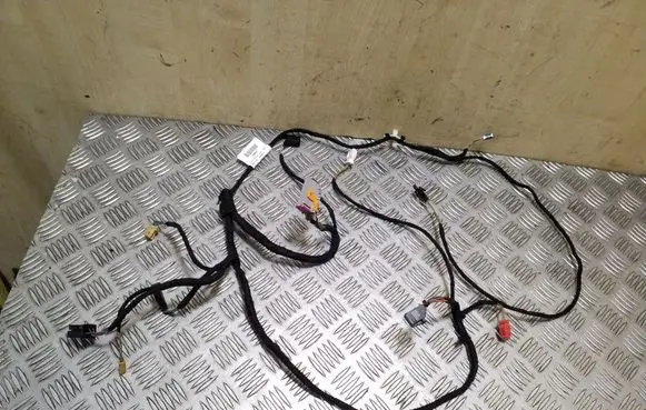 Seat Exeo (3R) Front door wiring loom 3R0971035F