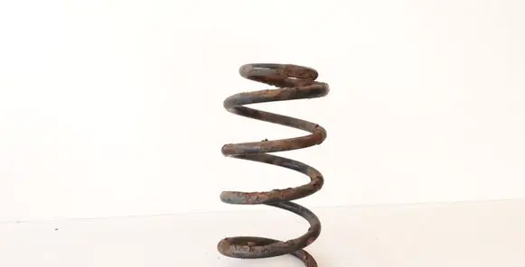 Hyundai Santa Fe Rear coil spring