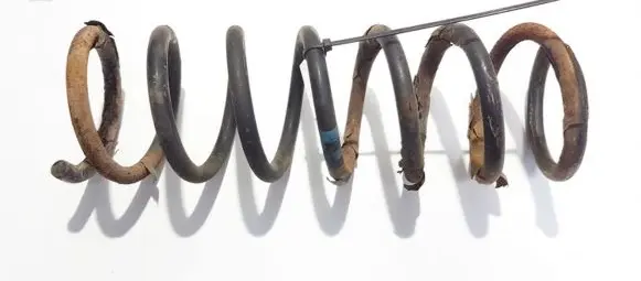Ford Focus C-MAX Rear coil spring