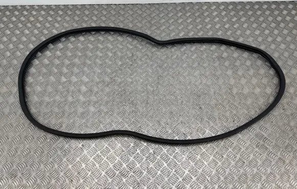 Renault Koleos II Front door rubber seal
