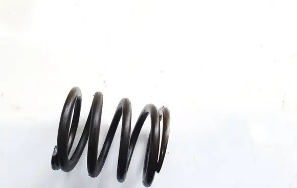 Volkswagen PASSAT B6 Valve spring 