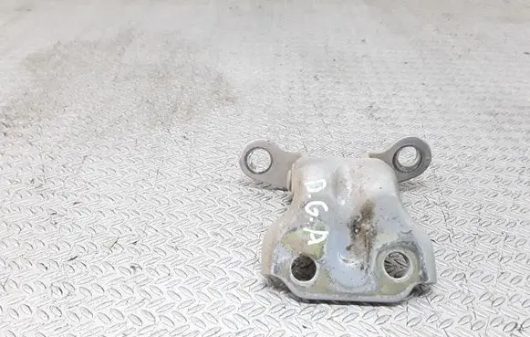 Hyundai Terracan Rear door lower hinge