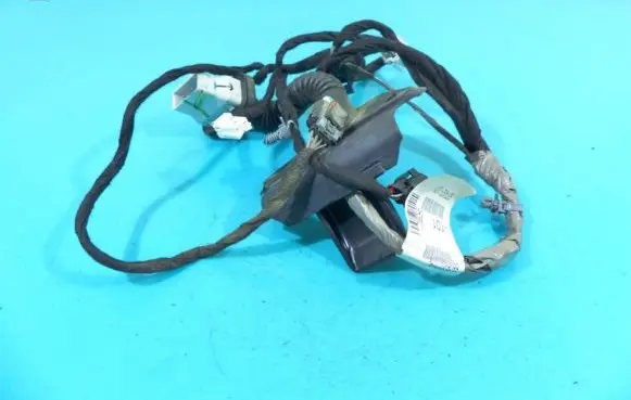 Rear door wiring loom