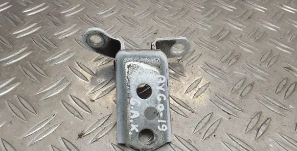 Toyota Aygo AB40 Rear door lower hinge