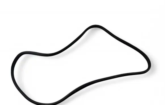 Fiat 500 Abarth Front door rubber seal C465