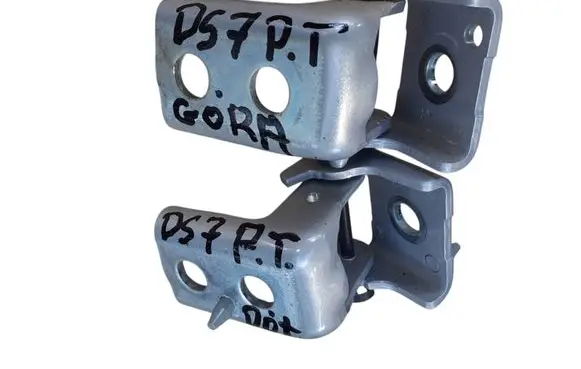 Citroen DS7 Crossback Rear door hinge set 