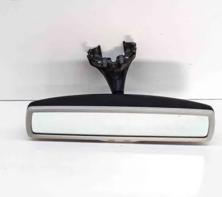 Volkswagen Tiguan Rear view mirror (interior) E11026141 GNTX398