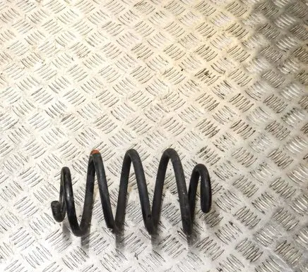 Nissan Leaf I (ZE0) Rear coil spring