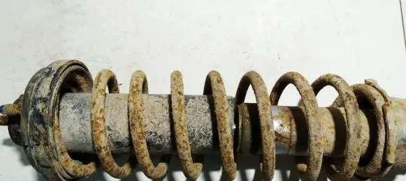 Honda Civic Rear coil spring
