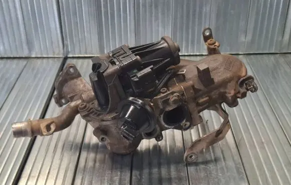 Citroen Berlingo EGR valve 50563908 321942025614