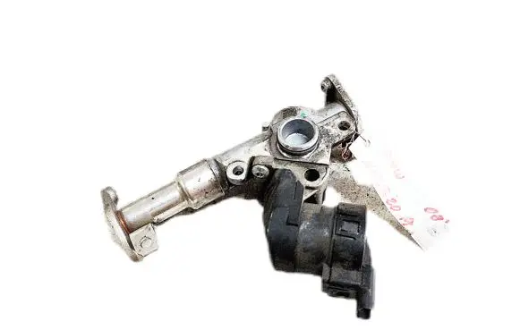 BMW 1 E81 E87 EGR valve 756324105
