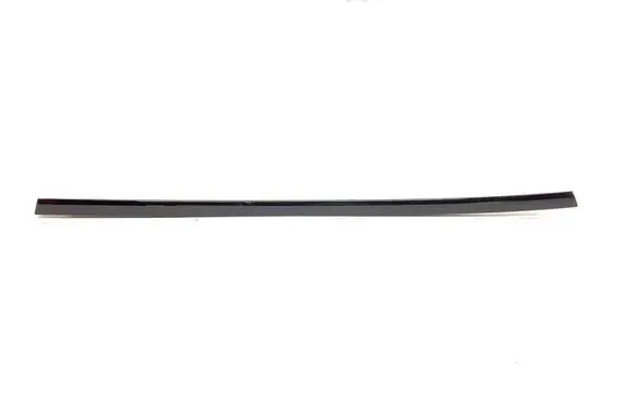 Porsche Panamera (971) Front door trim (molding) 971839475B