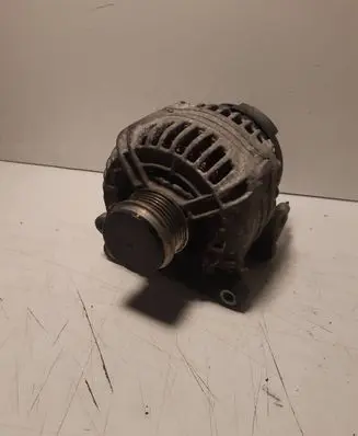 Volkswagen PASSAT B6 Generator/alternator 028903029B 0124515026