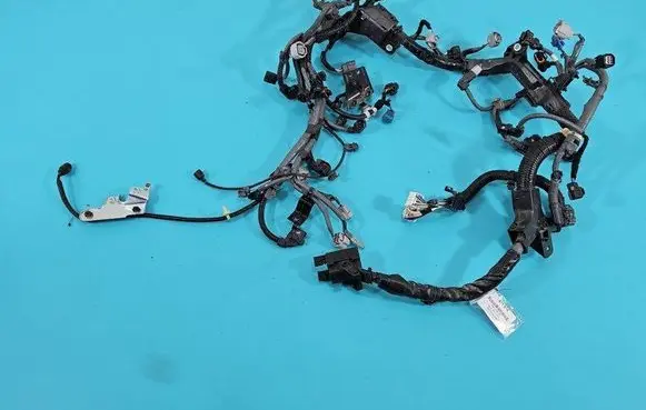 Engine installation wiring loom