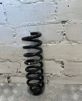 Mercedes-Benz C W205 Rear coil spring