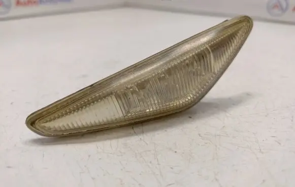 Front fender indicator light