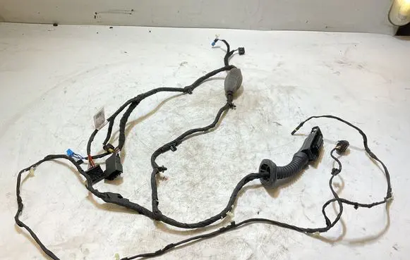 BMW X5 G05 Front door wiring loom 8779803 E64478 281020210322