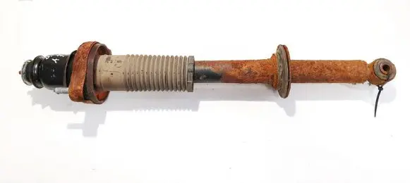 Dodge Journey Rear shock absorber/damper
