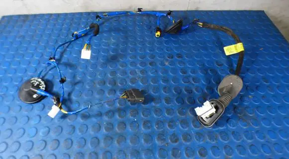Hyundai Elantra VI Rear door wiring loom CART91665F2010 91665F2010