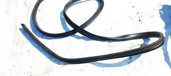 Dacia Sandero Rubber seal front coupe door