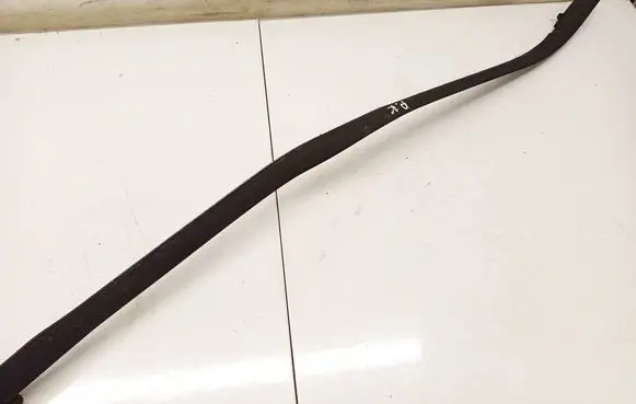 Ford Focus Front door glass trim molding 