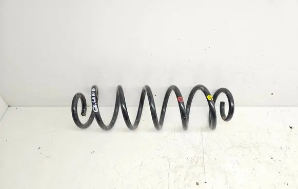 Rear coil spring