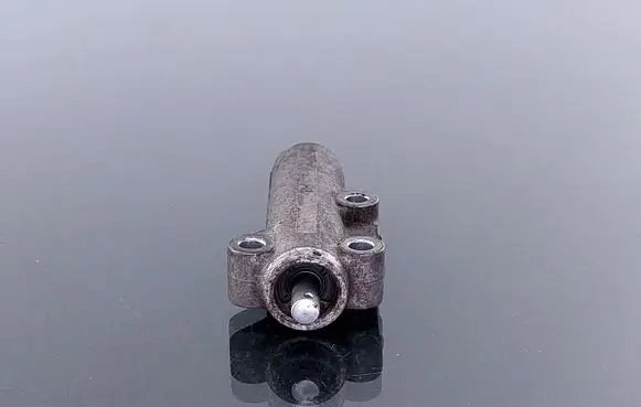 Volkswagen PASSAT B5 Timing belt/chain tensioner 