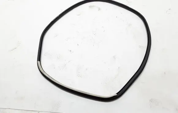 Renault Talisman Rear door rubber seal (on body) 769235651R