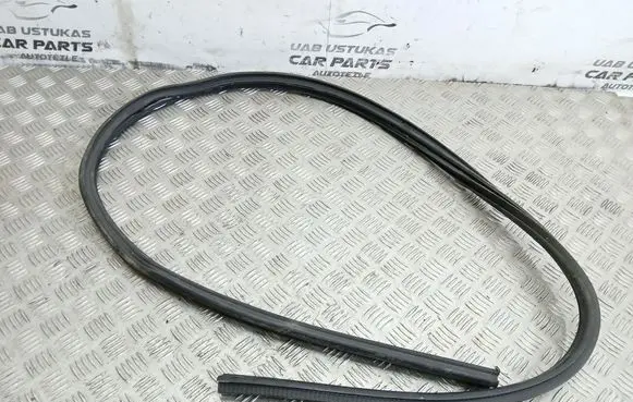 BMW 1 E82 E88 Front door rubber seal 7164993